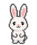 A white bunny