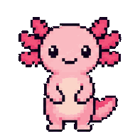 A pink axolotl